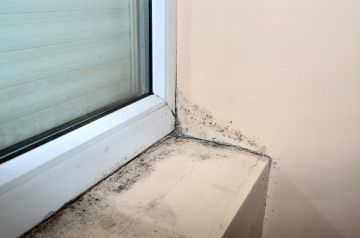 Mold removal by A & R Restoration