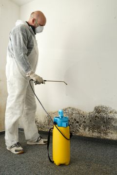 Simpsonville Mold Removal Prices by A & R Restoration LLC