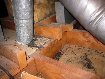 Crawl Space Restoration in Columbia, Maryland